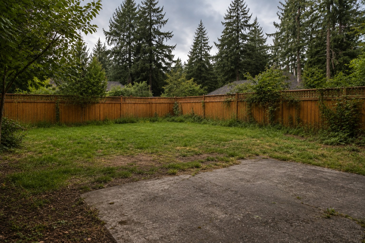 The concept backyard before renovation, with patchy grass and a plain concrete pad